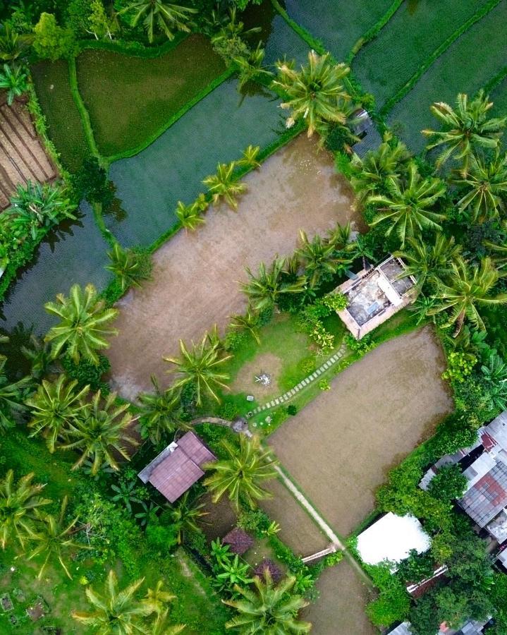 Mu Homestay Tetebatu Exterior foto